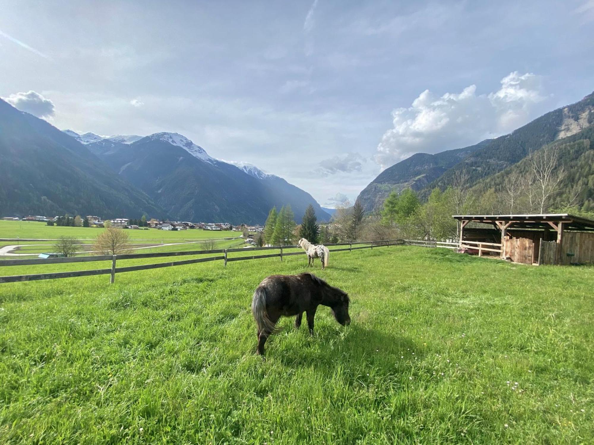 Ferienhaus Tirol Im Oetztal Umhausen Kültér fotó